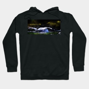 THE GREAT BLUE GREY HERON FISHING SPLASH DIVER ! Hoodie